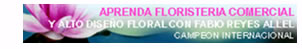 Aprenda Florister&iacute;a Comercial